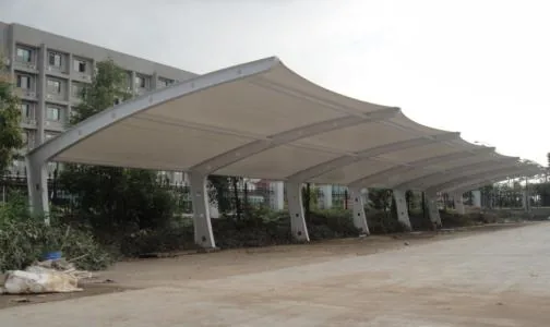 Seven-shaped membrane canopy options — reference image