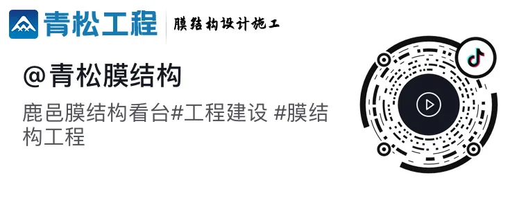 Original Douyin QR code for Qingsong's Luyi grandstand project video